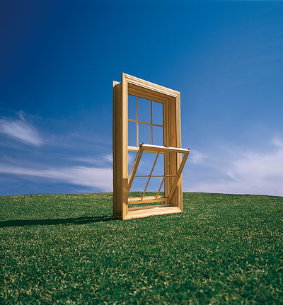 Andersen Windows offers a variety of insulated windows, including the 200 Series Tilt-Wash Double-Hung Window.